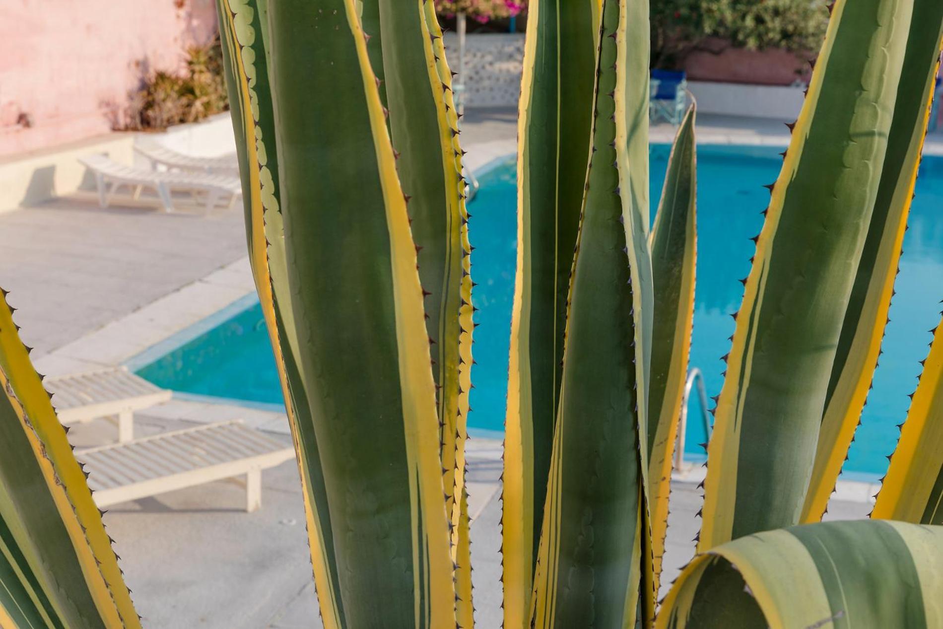 Caveland Karterados (Santorini)
